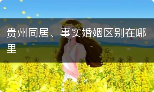 贵州同居、事实婚姻区别在哪里