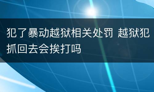 犯了暴动越狱相关处罚 越狱犯抓回去会挨打吗