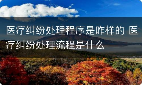 医疗纠纷处理程序是咋样的 医疗纠纷处理流程是什么