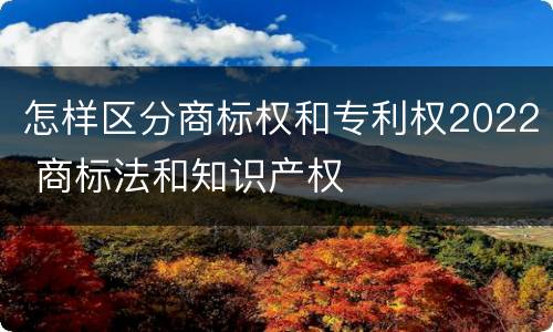怎样区分商标权和专利权2022 商标法和知识产权
