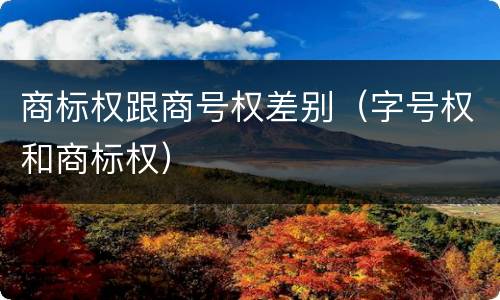 商标权跟商号权差别（字号权和商标权）