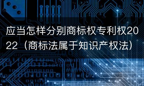 应当怎样分别商标权专利权2022（商标法属于知识产权法）
