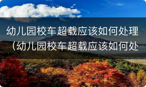 幼儿园校车超载应该如何处理（幼儿园校车超载应该如何处理呢）