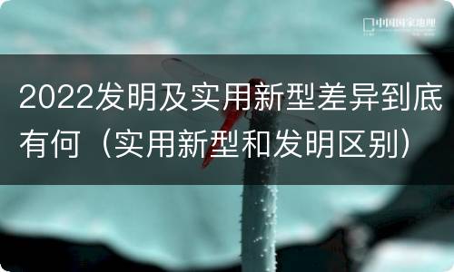 2022发明及实用新型差异到底有何（实用新型和发明区别）