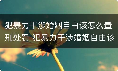 犯暴力干涉婚姻自由该怎么量刑处罚 犯暴力干涉婚姻自由该怎么量刑处罚多少钱