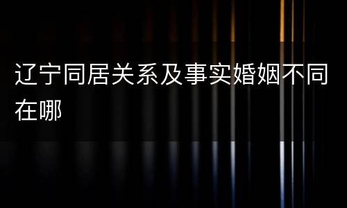 辽宁同居关系及事实婚姻不同在哪
