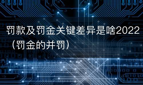 罚款及罚金关键差异是啥2022（罚金的并罚）