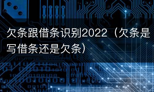 欠条跟借条识别2022（欠条是写借条还是欠条）