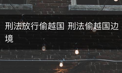 刑法放行偷越国 刑法偷越国边境