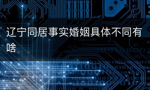 辽宁同居事实婚姻具体不同有啥