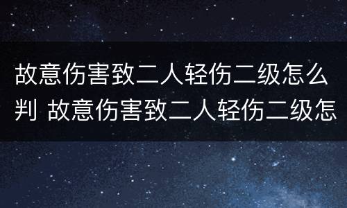 故意伤害致二人轻伤二级怎么判 故意伤害致二人轻伤二级怎么判定