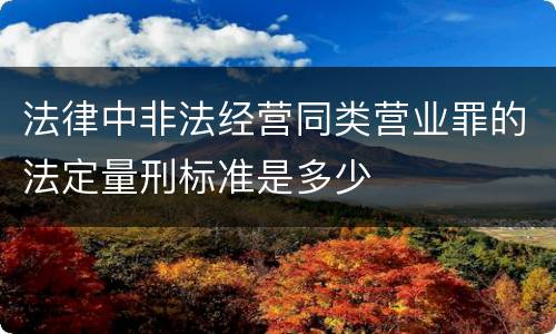 法律中非法经营同类营业罪的法定量刑标准是多少