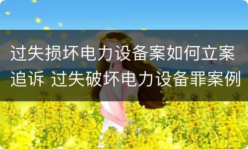 过失损坏电力设备案如何立案追诉 过失破坏电力设备罪案例