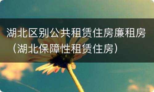 湖北区别公共租赁住房廉租房（湖北保障性租赁住房）