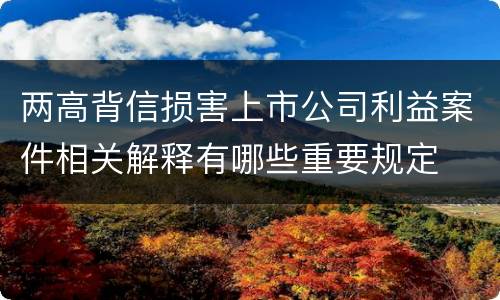 两高背信损害上市公司利益案件相关解释有哪些重要规定