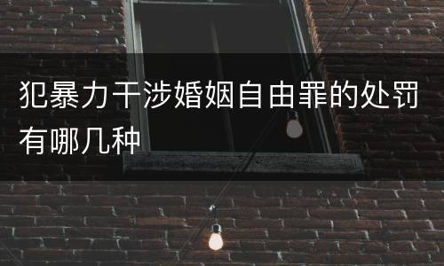 犯暴力干涉婚姻自由罪的处罚有哪几种