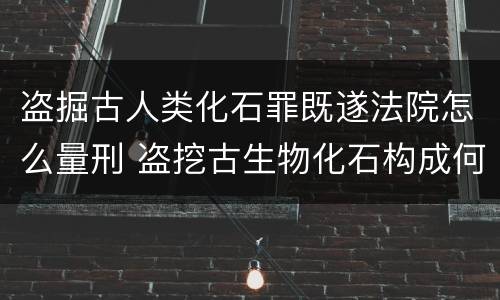 盗掘古人类化石罪既遂法院怎么量刑 盗挖古生物化石构成何罪