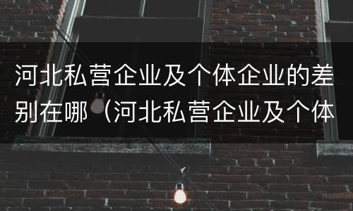 河北私营企业及个体企业的差别在哪（河北私营企业及个体企业的差别在哪查）