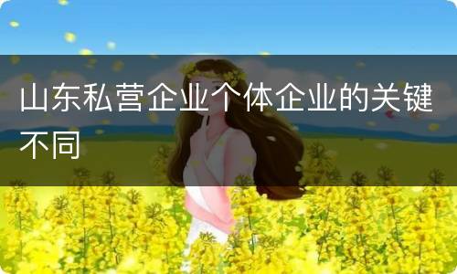 山东私营企业个体企业的关键不同