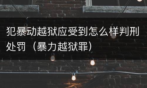 犯暴动越狱应受到怎么样判刑处罚（暴力越狱罪）