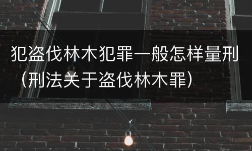 犯盗伐林木犯罪一般怎样量刑（刑法关于盗伐林木罪）