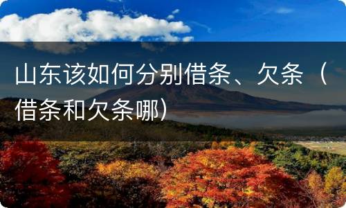 山东该如何分别借条、欠条（借条和欠条哪）