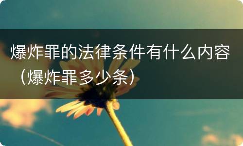 爆炸罪的法律条件有什么内容（爆炸罪多少条）