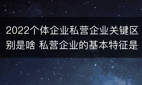2022个体企业私营企业关键区别是啥 私营企业的基本特征是什么