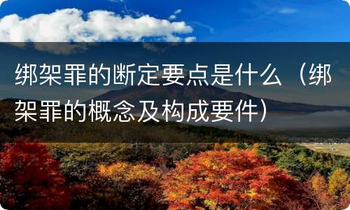 绑架罪的断定要点是什么（绑架罪的概念及构成要件）