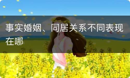 事实婚姻、同居关系不同表现在哪
