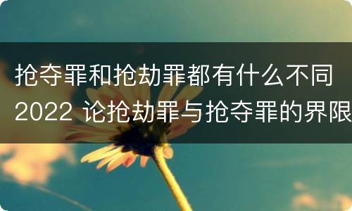 抢夺罪和抢劫罪都有什么不同2022 论抢劫罪与抢夺罪的界限