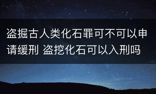 盗掘古人类化石罪可不可以申请缓刑 盗挖化石可以入刑吗