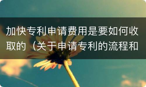 加快专利申请费用是要如何收取的（关于申请专利的流程和费用）