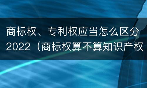 商标权、专利权应当怎么区分2022（商标权算不算知识产权）