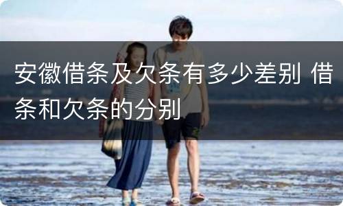 安徽借条及欠条有多少差别 借条和欠条的分别