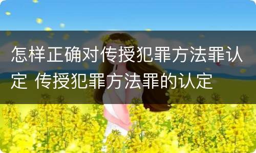 怎样正确对传授犯罪方法罪认定 传授犯罪方法罪的认定