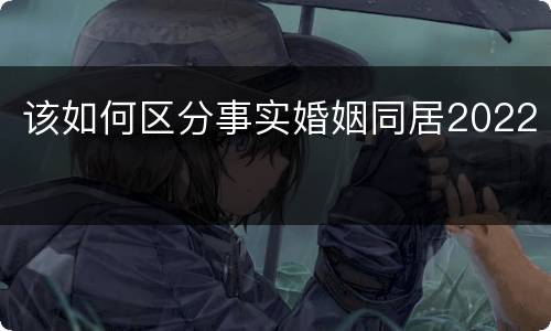 该如何区分事实婚姻同居2022