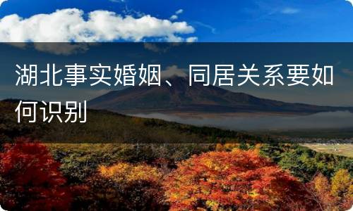 湖北事实婚姻、同居关系要如何识别