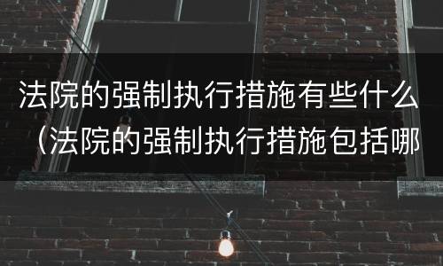 法院的强制执行措施有些什么（法院的强制执行措施包括哪些?）