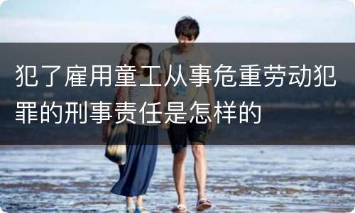 犯了雇用童工从事危重劳动犯罪的刑事责任是怎样的