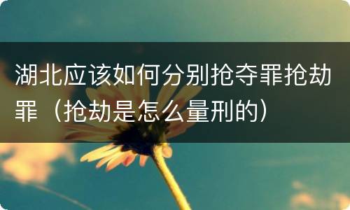 湖北应该如何分别抢夺罪抢劫罪（抢劫是怎么量刑的）
