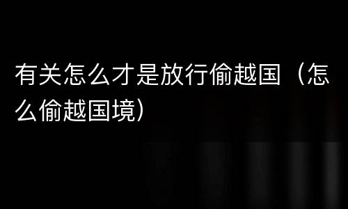 有关怎么才是放行偷越国（怎么偷越国境）