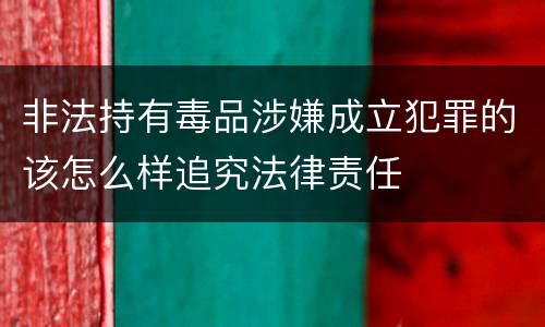 非法持有毒品涉嫌成立犯罪的该怎么样追究法律责任