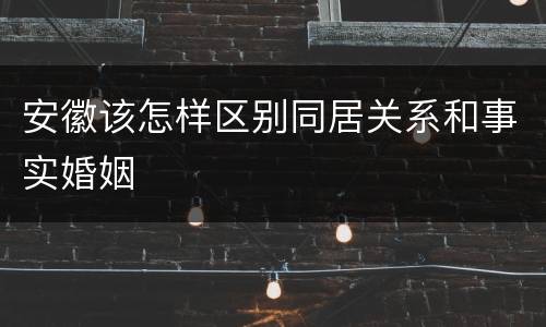 安徽该怎样区别同居关系和事实婚姻