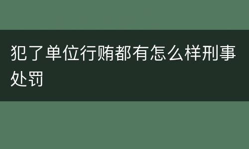 犯了单位行贿都有怎么样刑事处罚