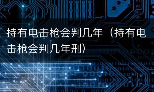 持有电击枪会判几年（持有电击枪会判几年刑）
