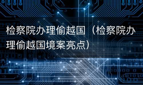 检察院办理偷越国（检察院办理偷越国境案亮点）