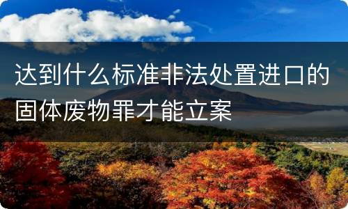达到什么标准非法处置进口的固体废物罪才能立案