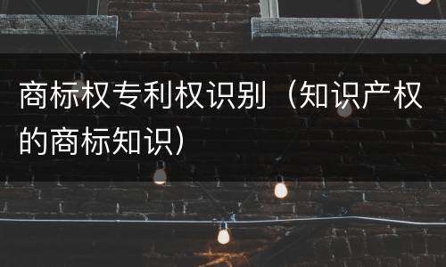 商标权专利权识别（知识产权的商标知识）