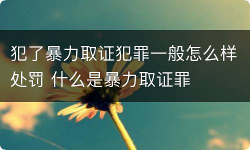 犯了暴力取证犯罪一般怎么样处罚 什么是暴力取证罪
